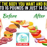 Get The Body You Want